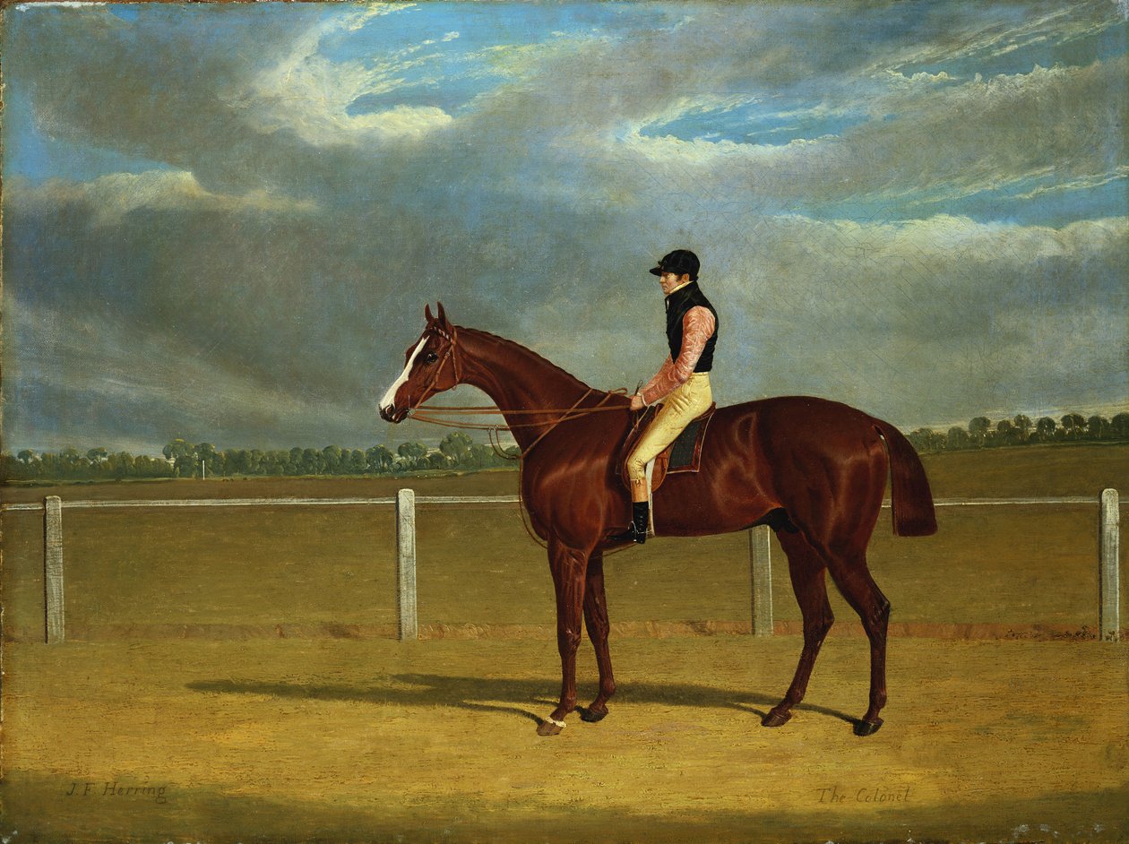 Tävlingshästen "The Colonel" med William Scott Up av John Frederick Herring Senior