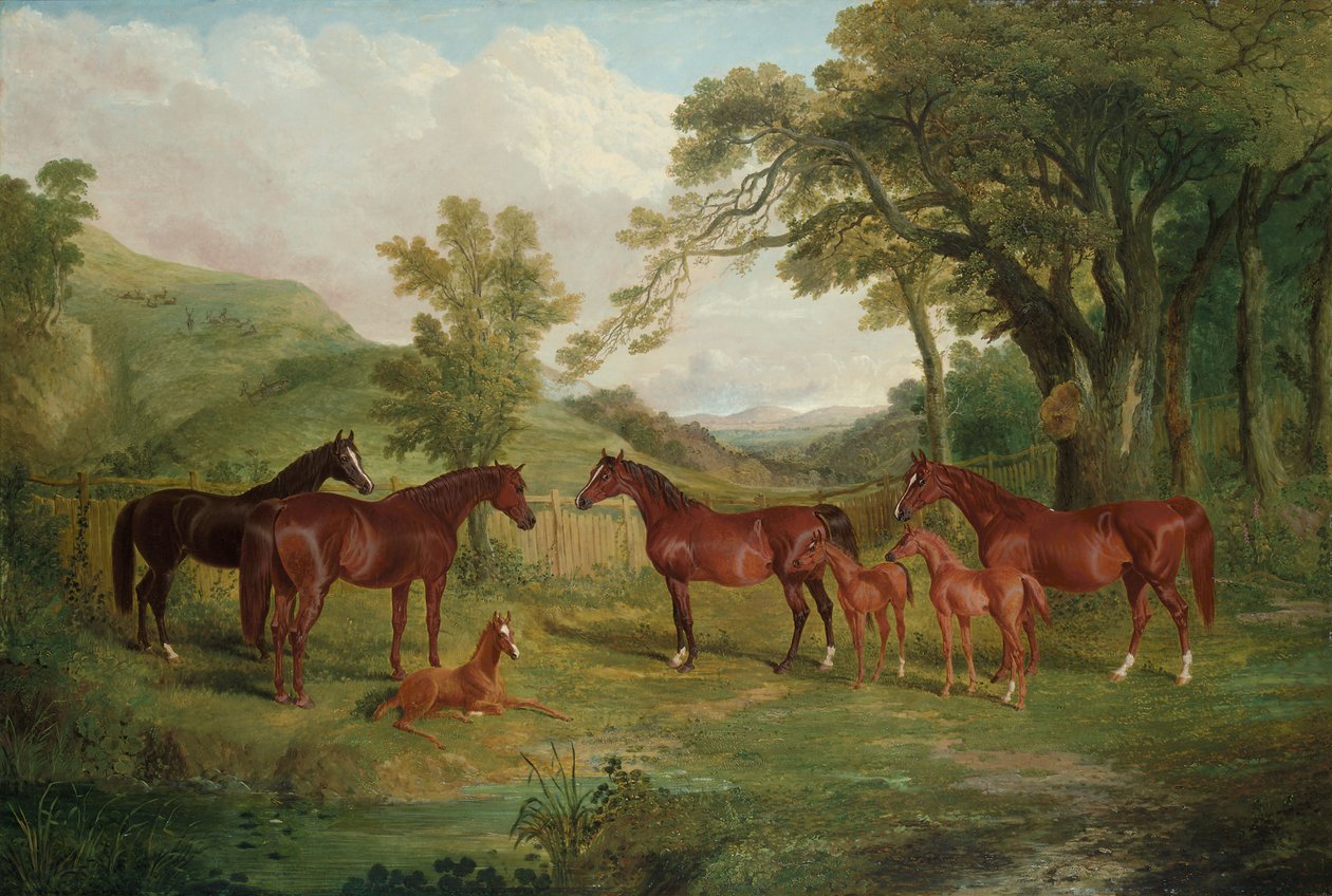 Streatlam stuteri, ston och föl, 1836 av John Frederick Herring Senior