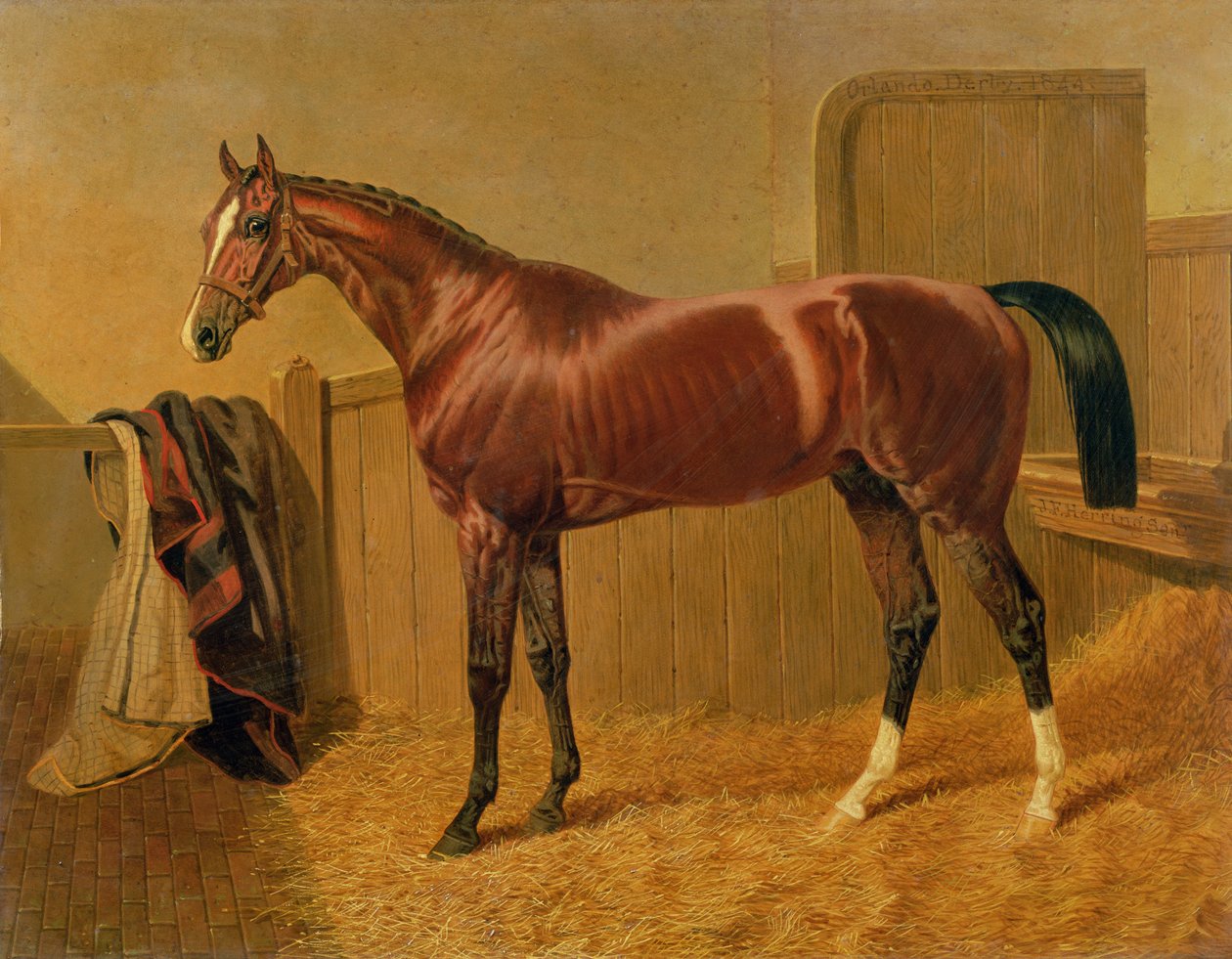 Okänd bild av John Frederick Herring Senior