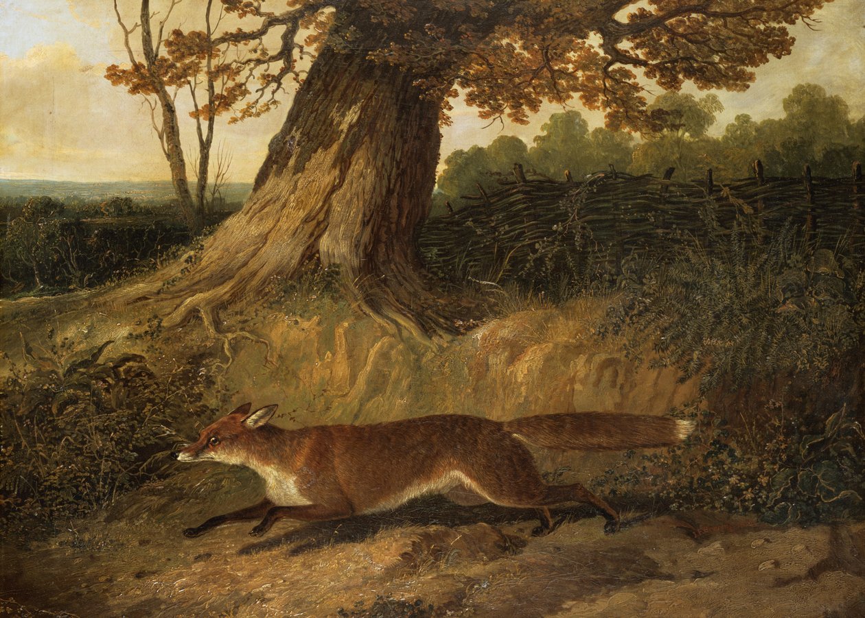 Okänd bild av John Frederick Herring Senior