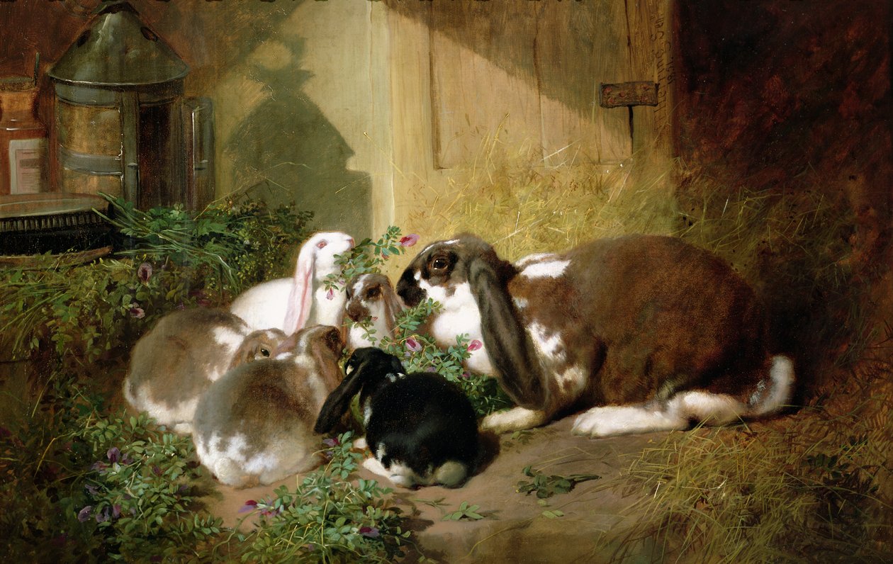 Okänd bild av John Frederick Herring Senior
