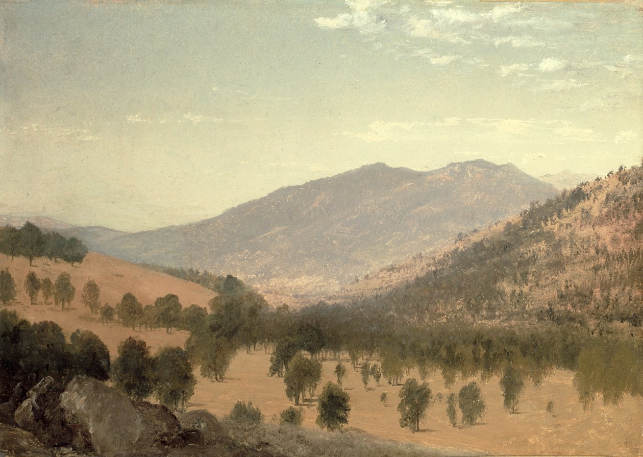 Bergen Park, Colorado (olja på duk) av John Frederick Kensett