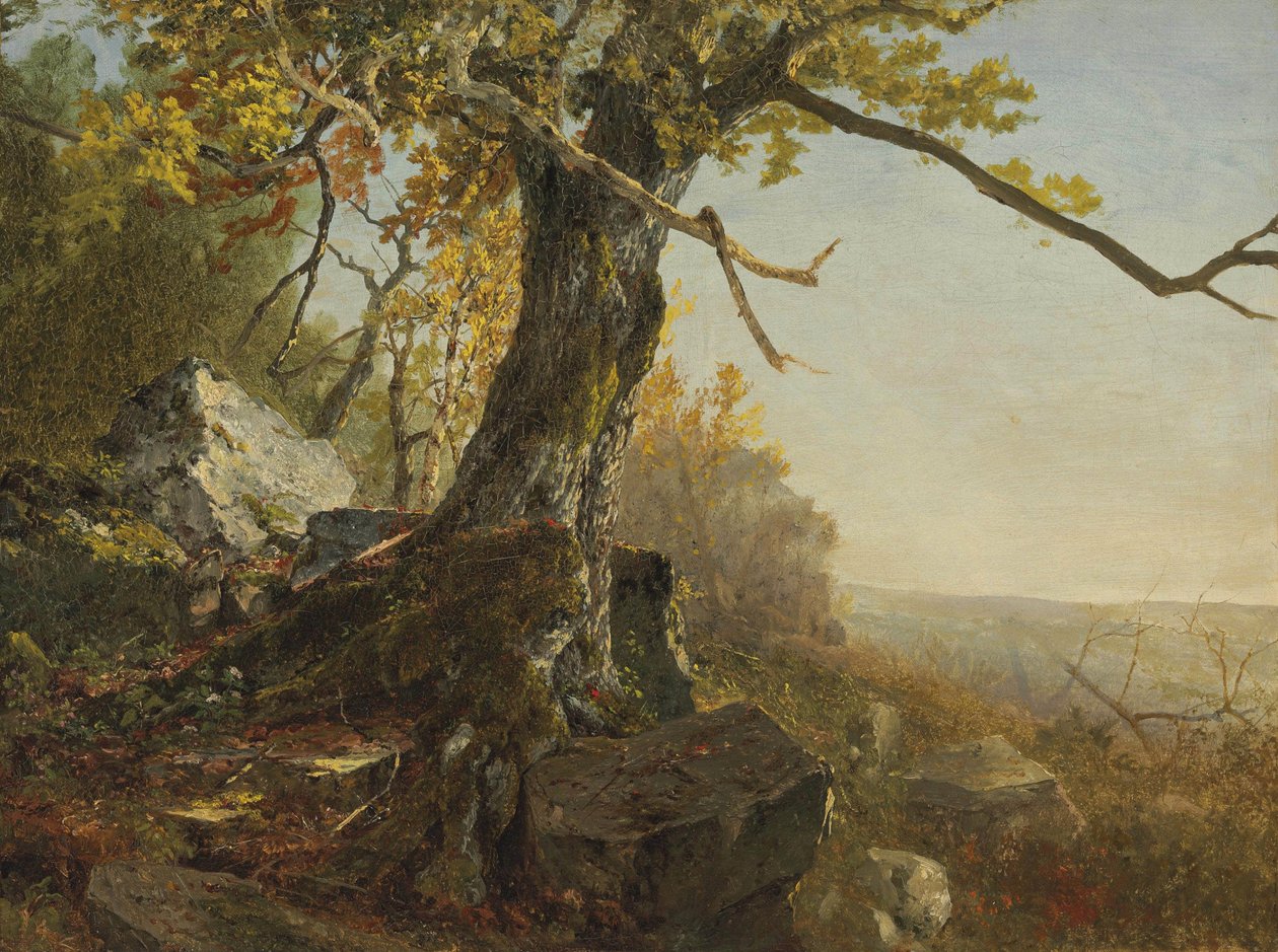 Träd i ett landskap av John Frederick Kensett