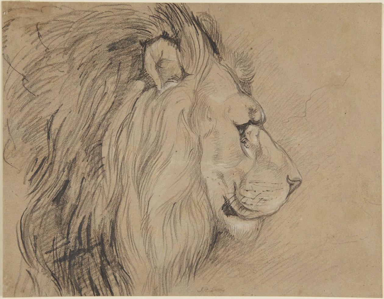 Lejon av John Frederick Lewis