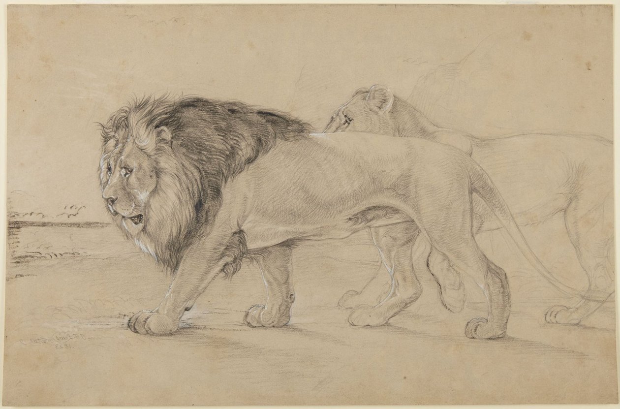 Lions av John Frederick Lewis