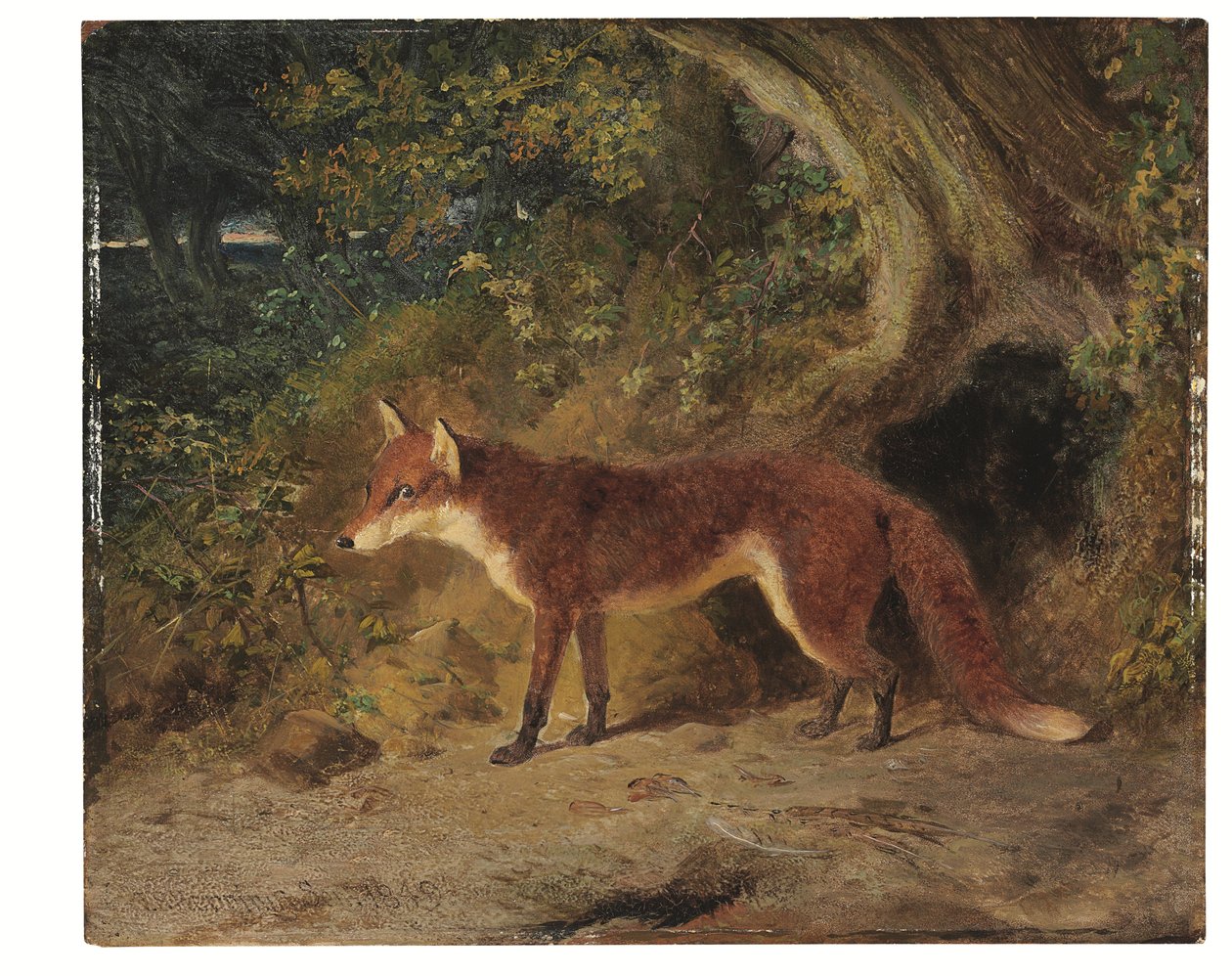 Den röda räven av John Frederick Senior Herring