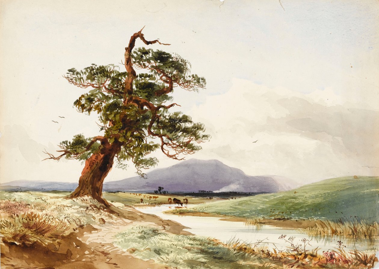 Vy över ett träd nära en flod med boskap som dricker och en lila kulle bortom av John Frederick William Herschel