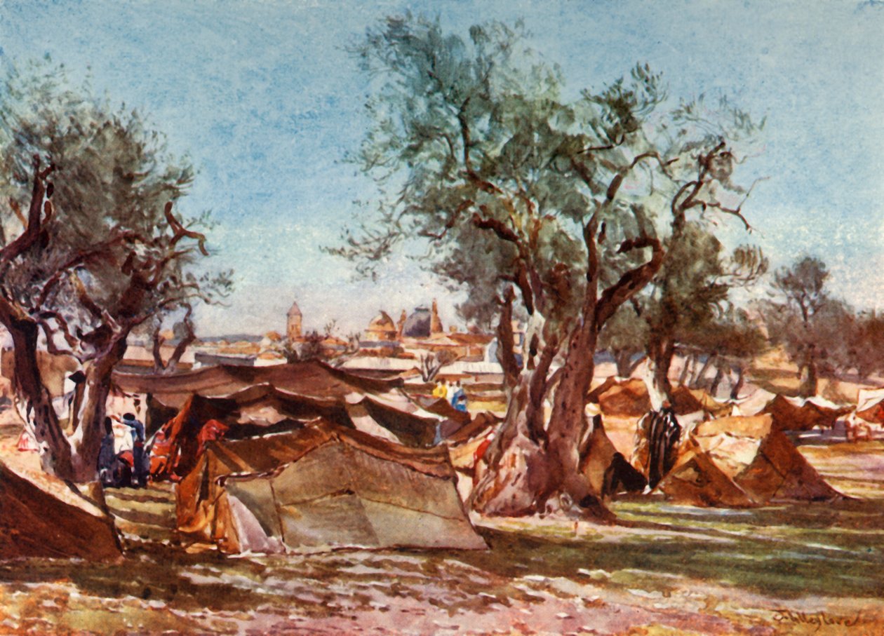 Beduinläger utanför Jerusalems norra mur, 1902. av John Fulleylove