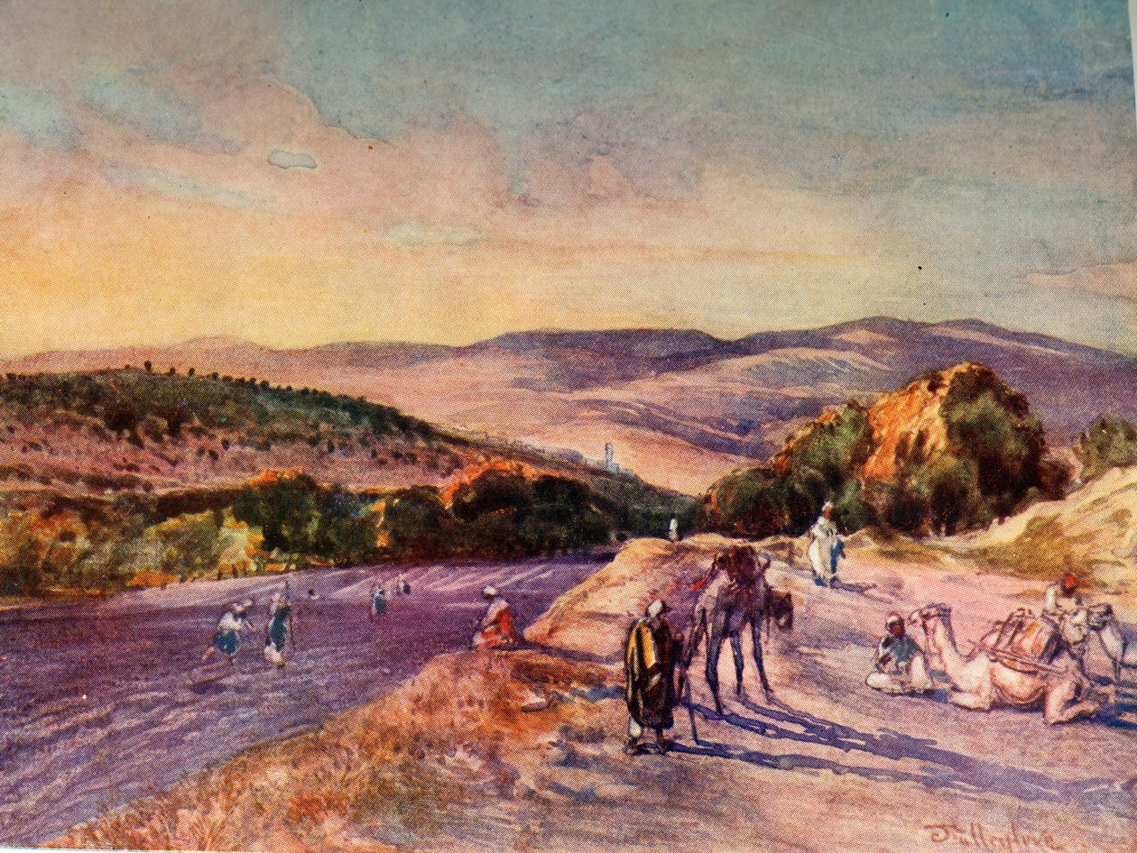 Platsen för den antika staden Samaria, 1902. av John Fulleylove