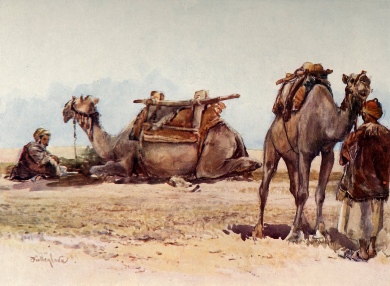 Studie av kameler och skötare, 1902. av John Fulleylove