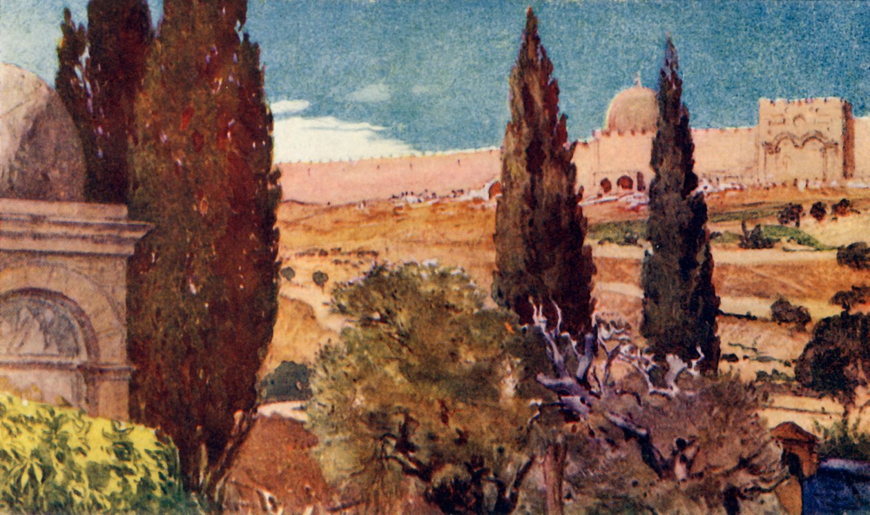 Cypresserna i Getsemane trädgård, 1902. av John Fulleylove