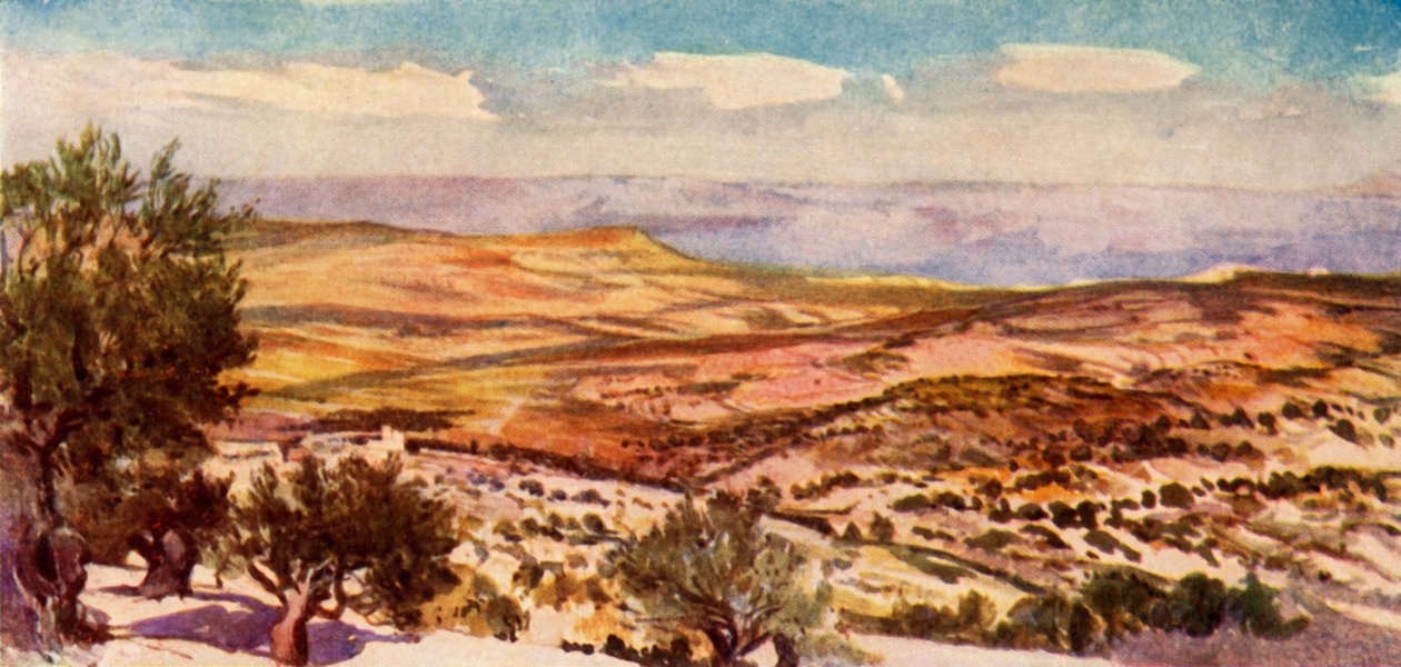 Ruts och Boas fält nära Betlehem, 1902. av John Fulleylove
