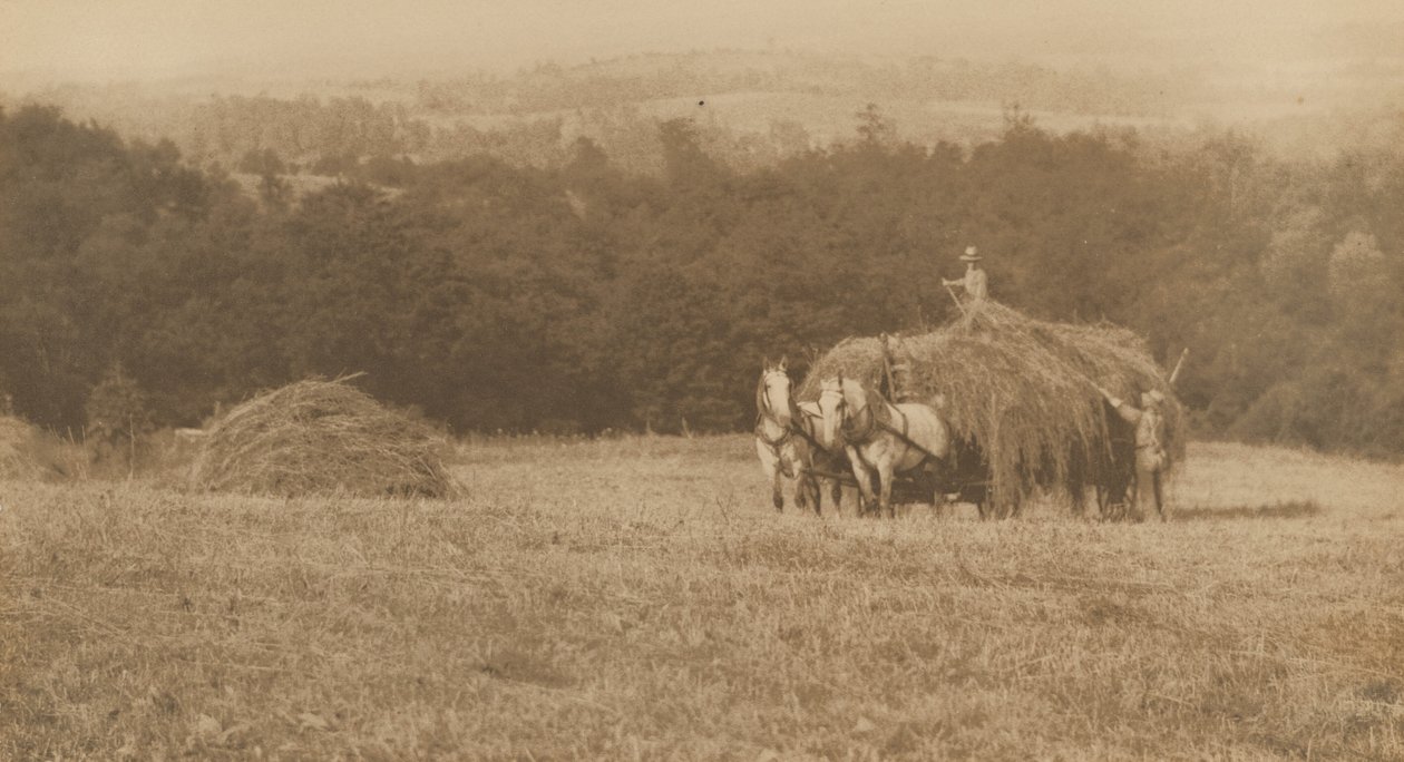 Lastning av hö,1890-1900 (foto) av John G. Bullock