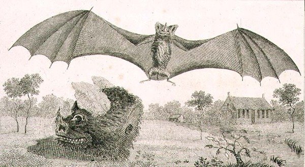 Vampyren eller spöket från Guyana av John Gabriel (after) Stedman