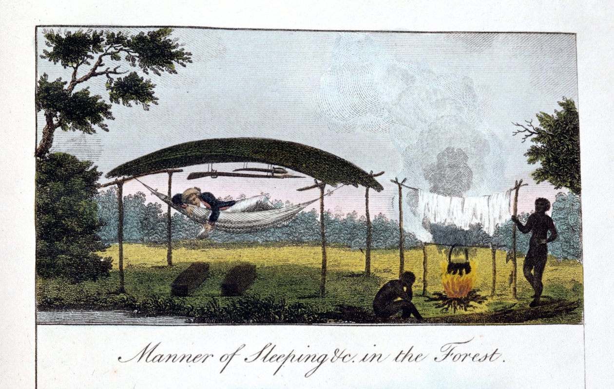 Sova i skogen, 1813. av John Gabriel Stedman