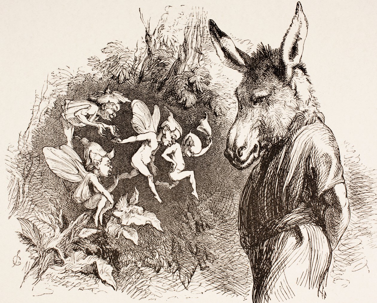Illustration till en midsommarnattsdröm, från 