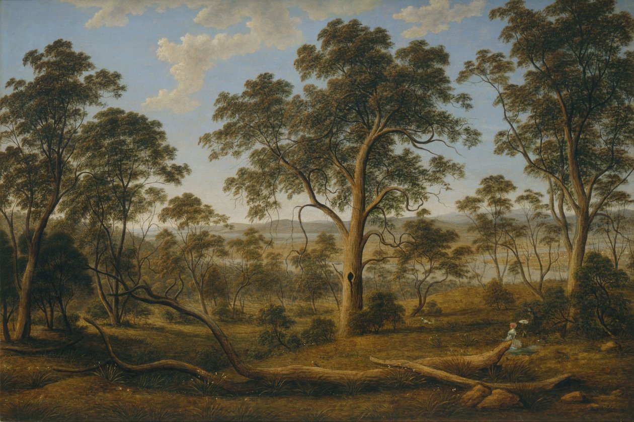Launceston och floden Tamar av John Glover
