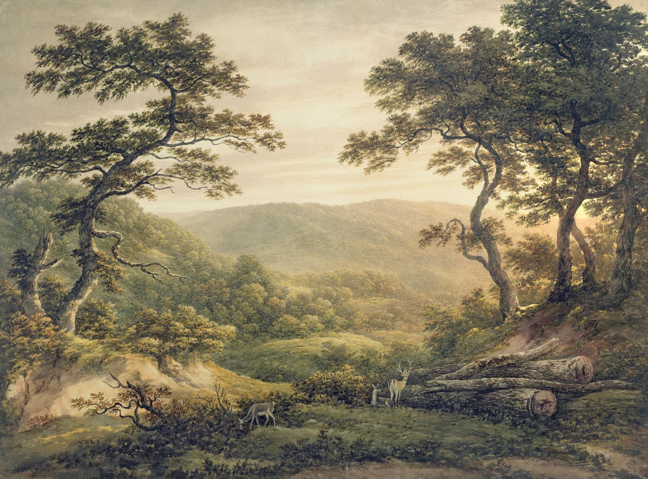 Needlewood Forest, Hampshire (akvarell på papper) av John Glover