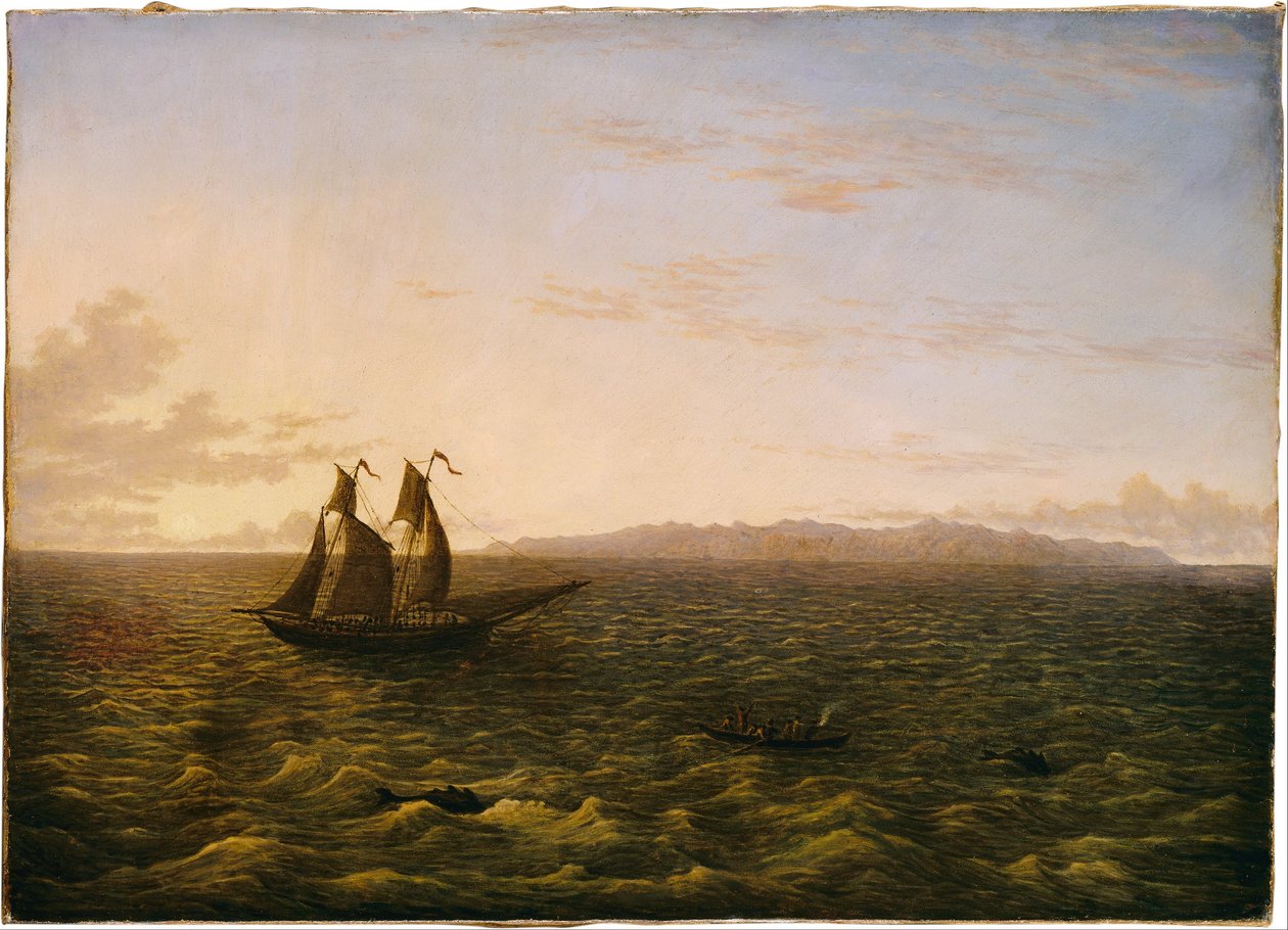 Ön Madeira av John Glover