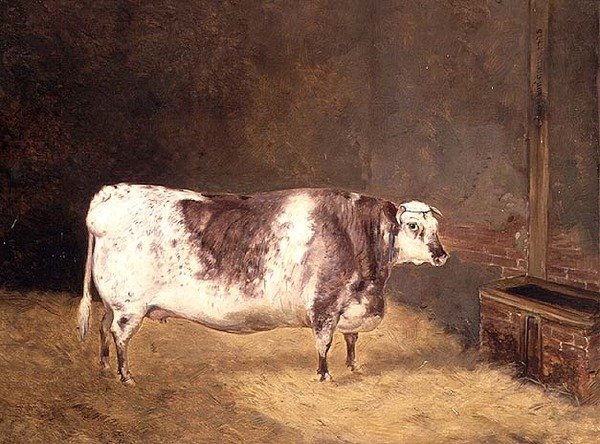 Korthornsko av John Goode