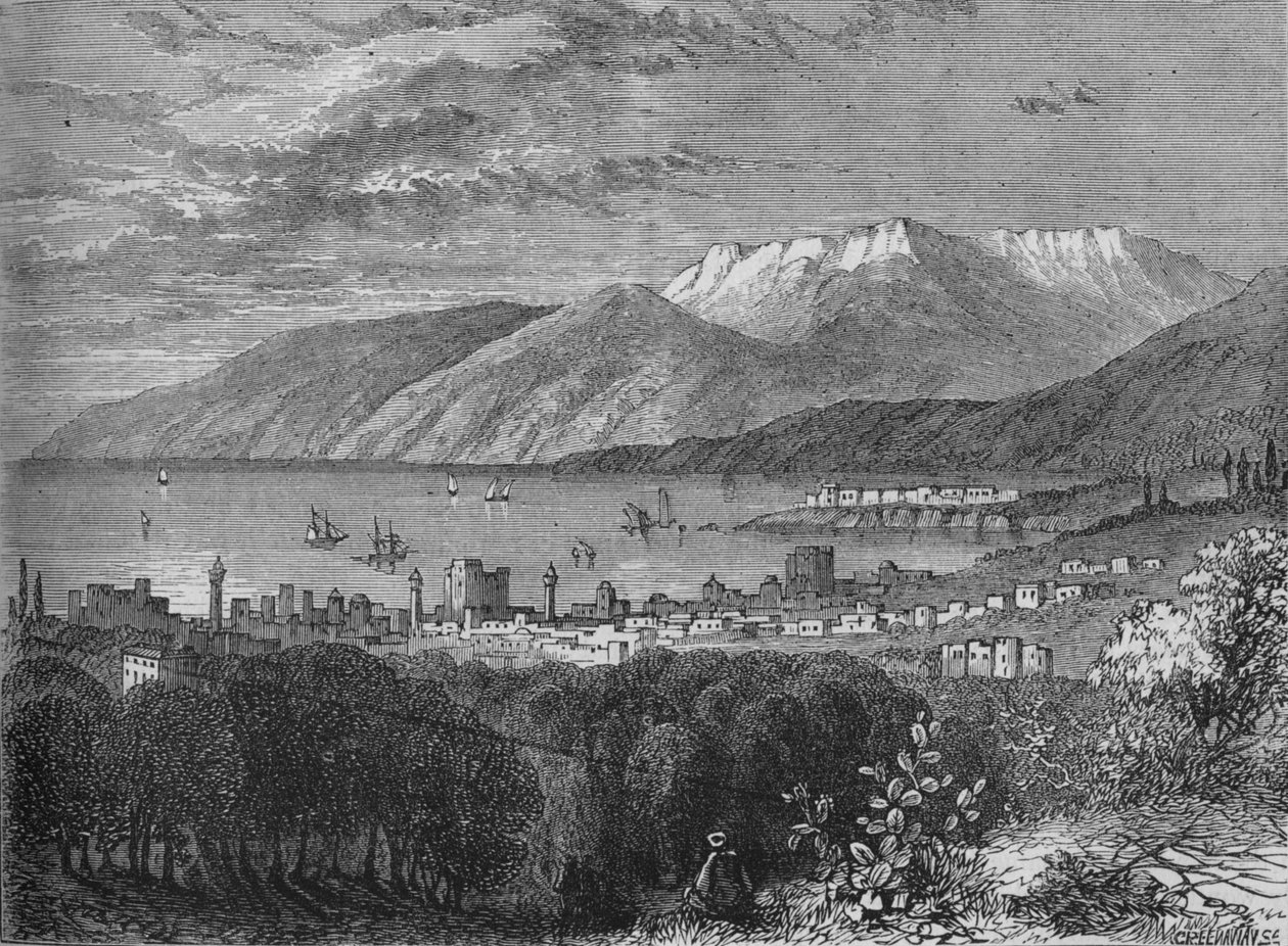Beirut, c1880 av John Greenaway