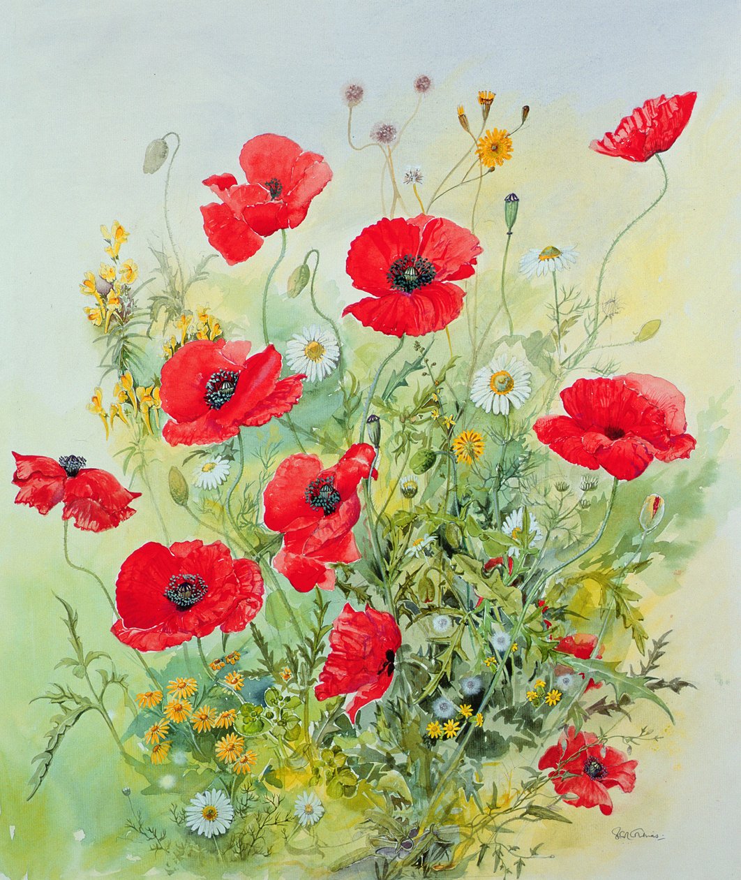 Vallmo och majweed av John Gubbins