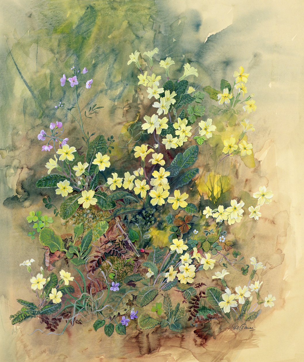 Primrose Bank av John Gubbins