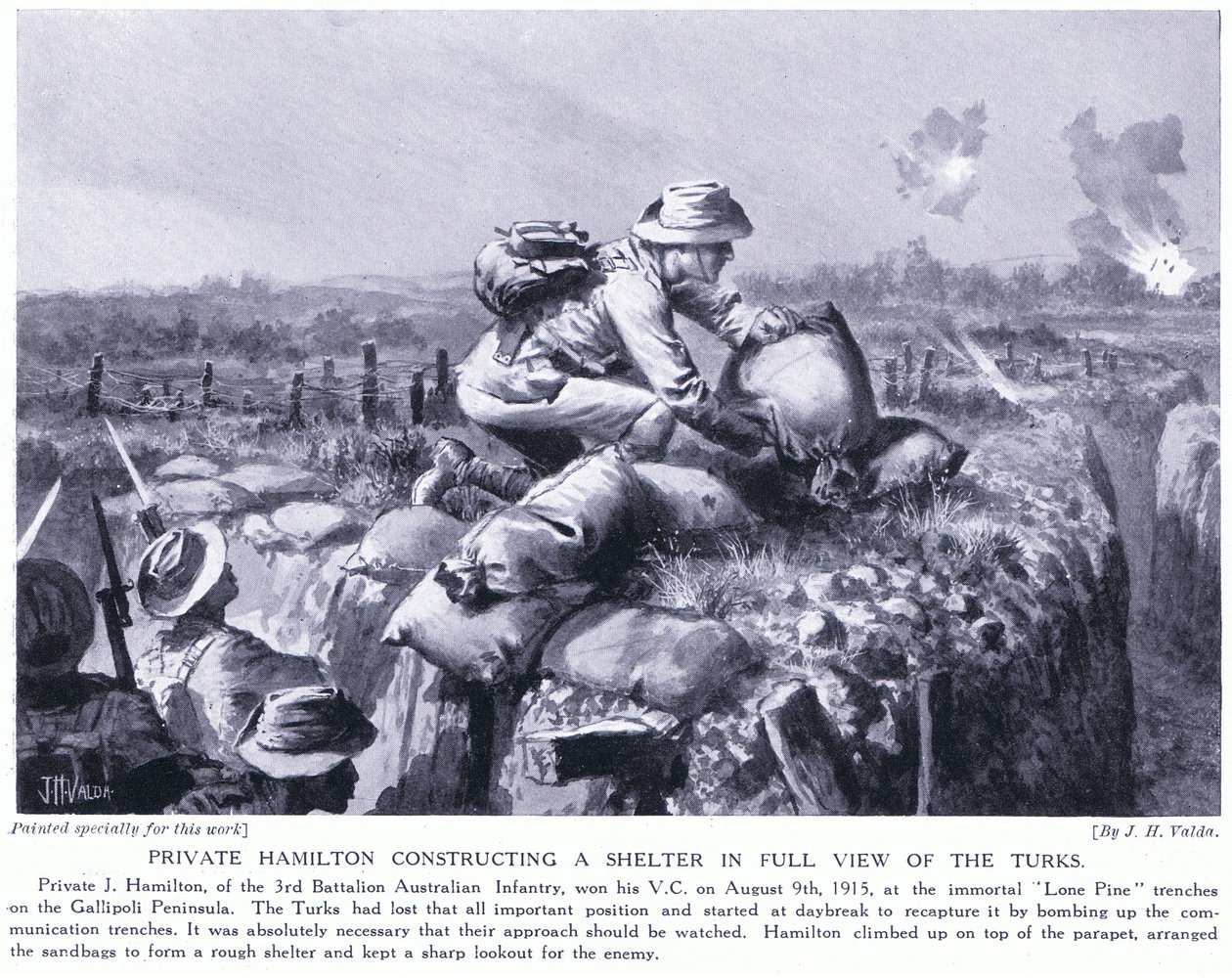 Menig Hamilton konstruerar ett skydd inför turkarna vid Lone Pine skyttegravarna på Gallipolihalvön augusti 1915 av John Harris Valda