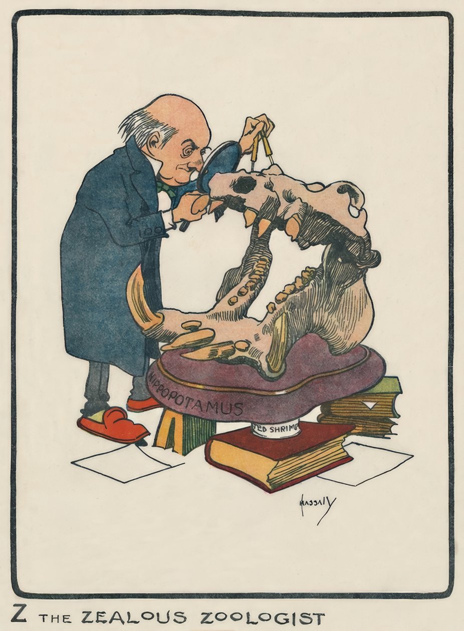 Z den nitiske zoologen / J. Hassall / teckning, 1903 av John Hassall