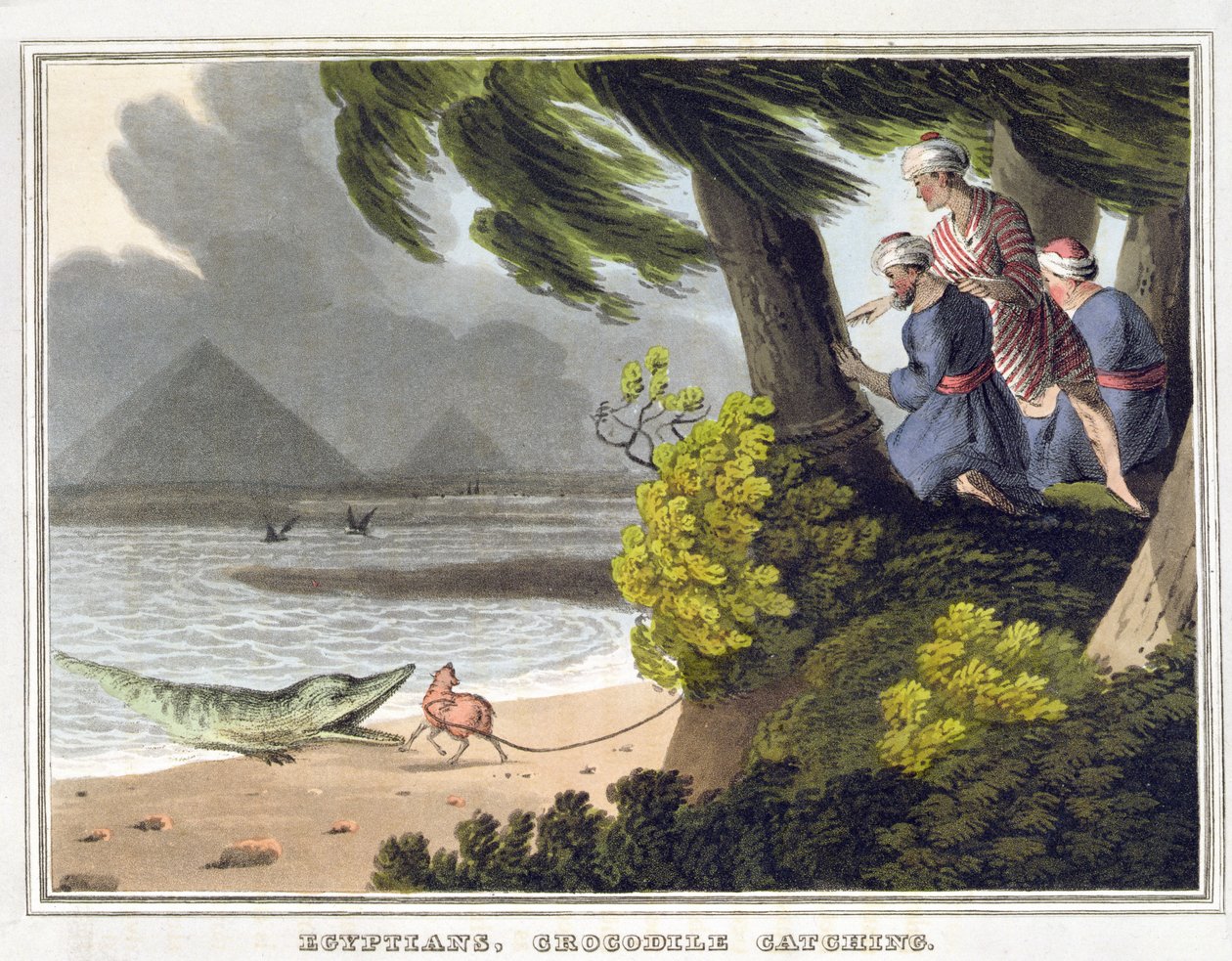 Egyptians Crocodile Catching, graverad av Matthew Dubourg (fl.1785-1820), utgiven av Edward Orme av John Heaviside (after) Clark