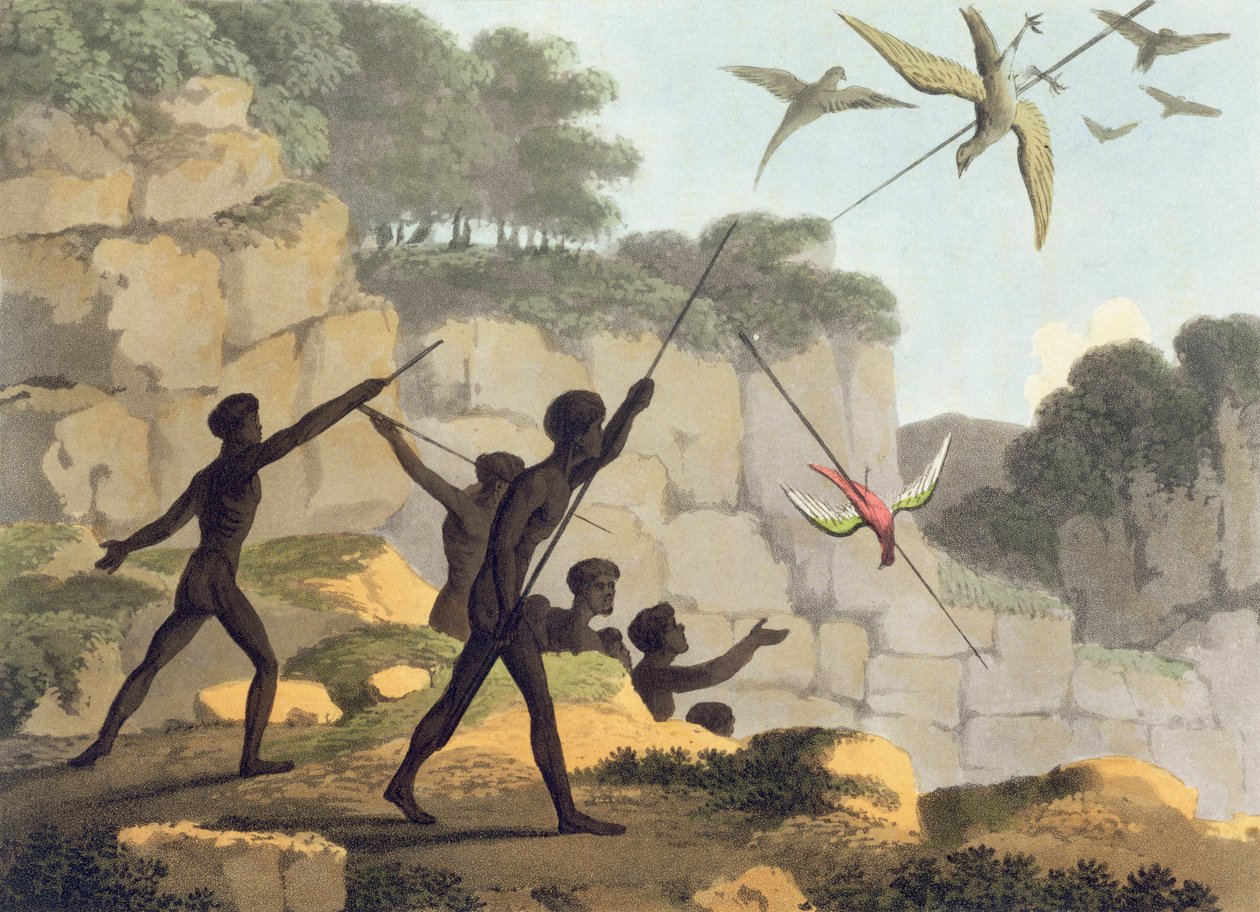 Throwing the Spear, aboriginer som jagar fåglar från New South Wales graverade av Matthew Dubourg (f.1813-1820) pub. 1813 av John Heaviside Clark