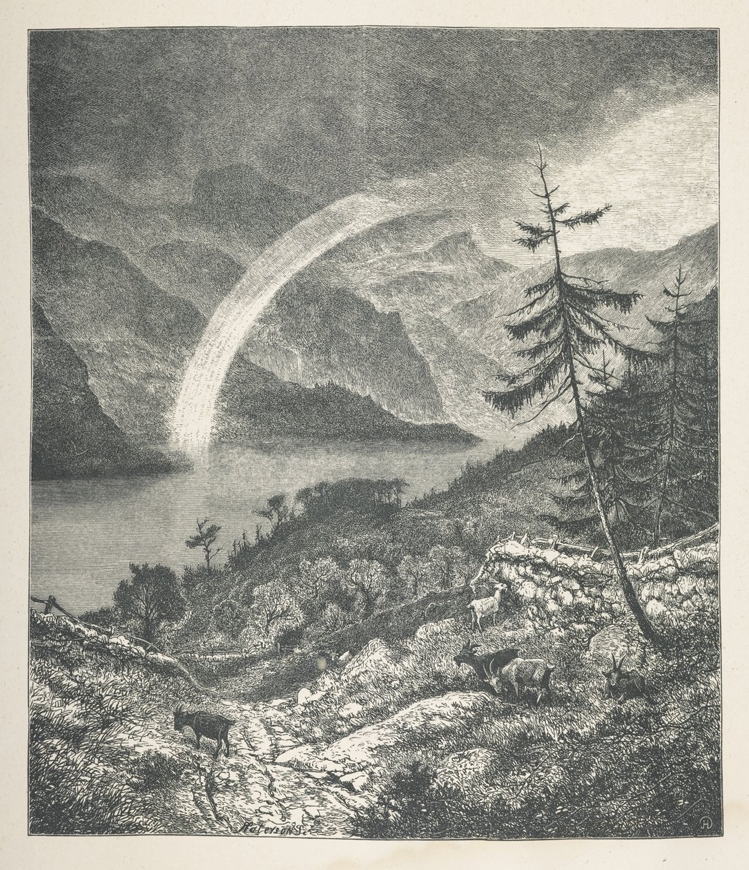 Plansch 18. Regnbåge, från 
