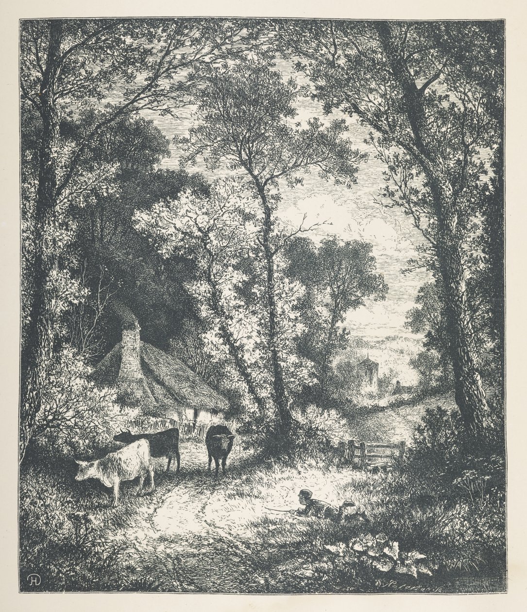 Plansch 21. Boskap, från 
