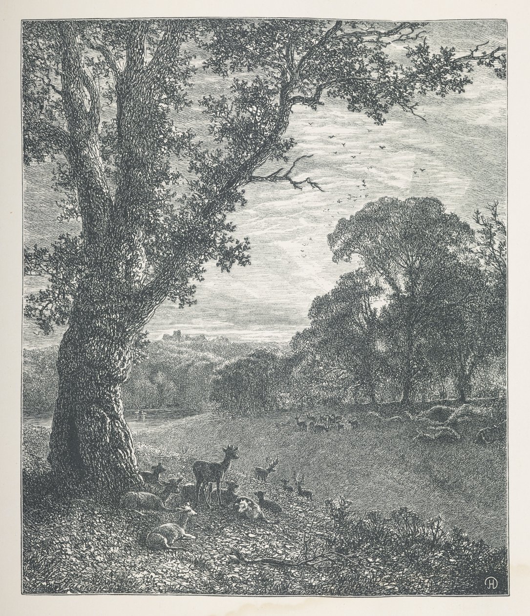 Tallrik 3. Rådjur runt ett träd.  Naturbilder. En serie av trettio originalillustrationer tecknade på trä av J. H. Dell, och graverade av R. Paterson.  John Henry Dell av John Henry Dell