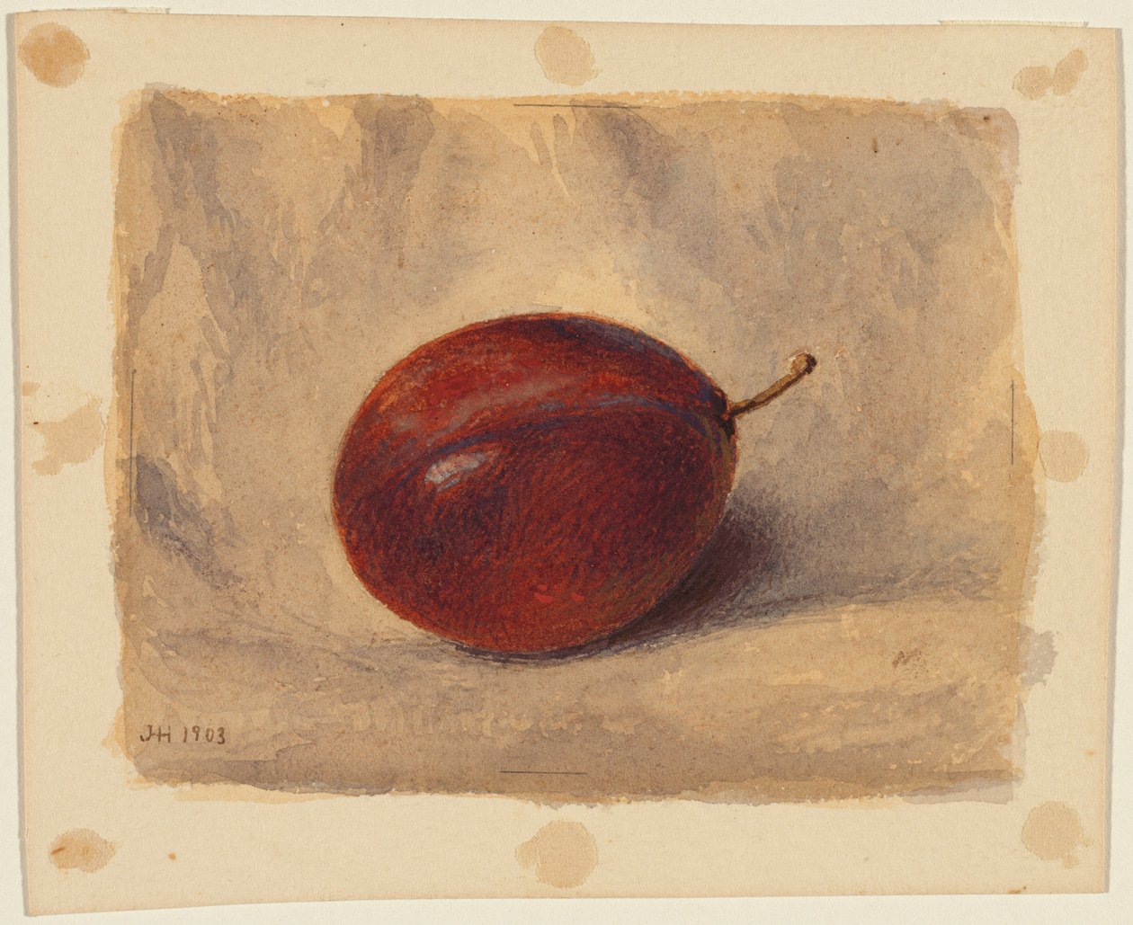 Plommon av John Henry Hill