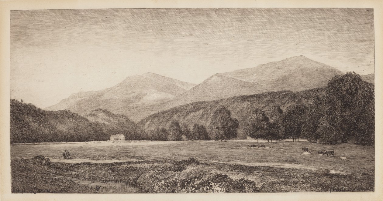 Vita bergen av John Henry Hill