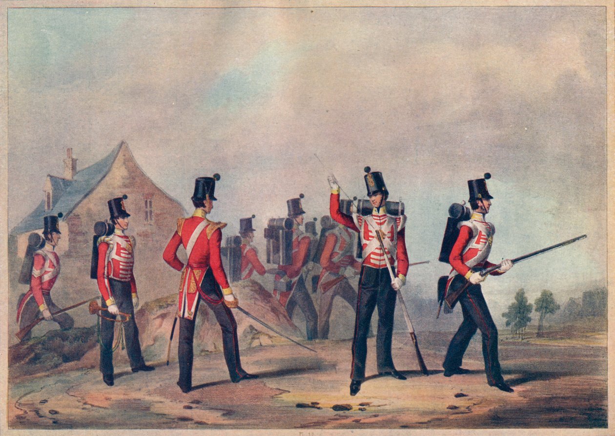 Regements of Light Infantry som visar det 90:e lätta infanteriet, 1800-talet 1909 av John Henry Lynch