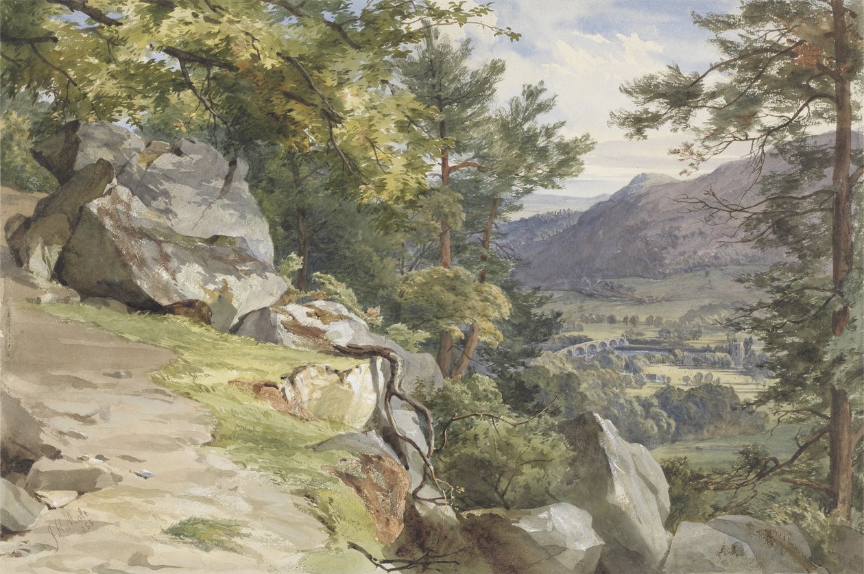 View of Craig-y-Barns, Dunkeld, Looking South, 1855 (wc och kroppsfärg på papper) av John Henry Mole