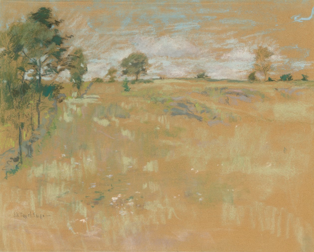 Weiden, Branchville, Connecticut av John Henry Twachtman