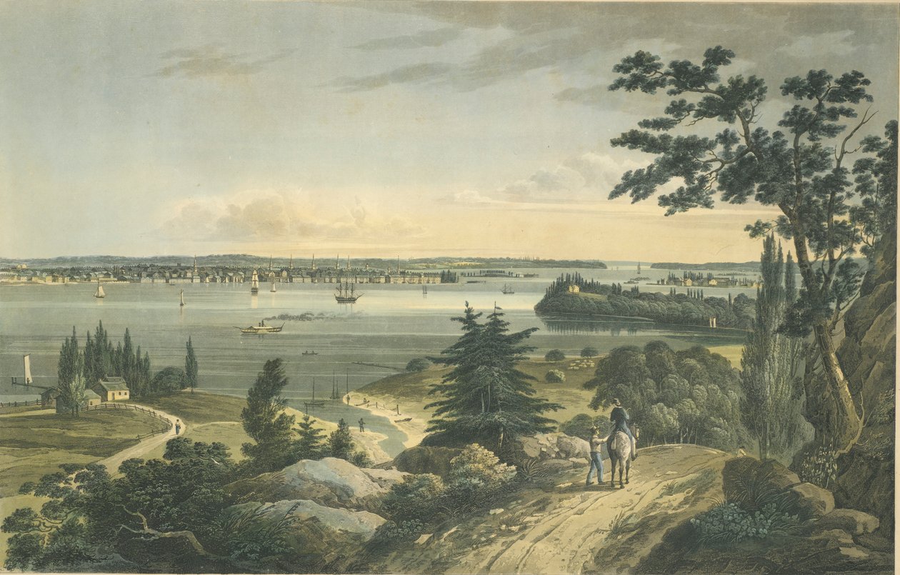New York från Weehawk av John Hill