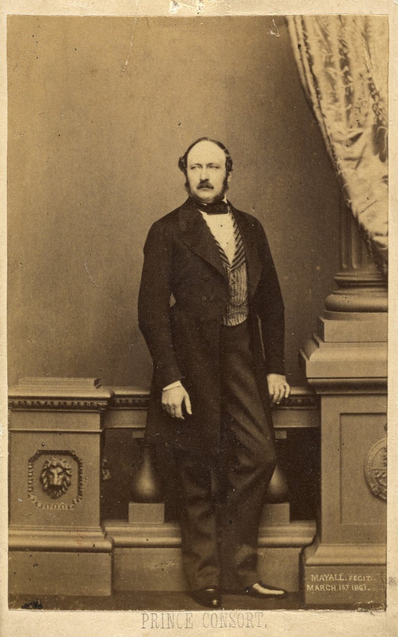 Prinsgemålen. [Francis Charles Augustus Emmanuel Albert, prins av Sachsen-Coburg-Gotha] av John Jabez Edwin Mayall
