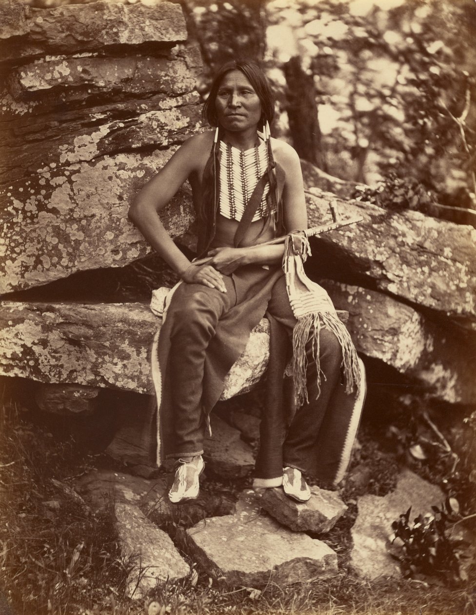 [Lilla Björnen, Cheyenne] av John K. Hillers