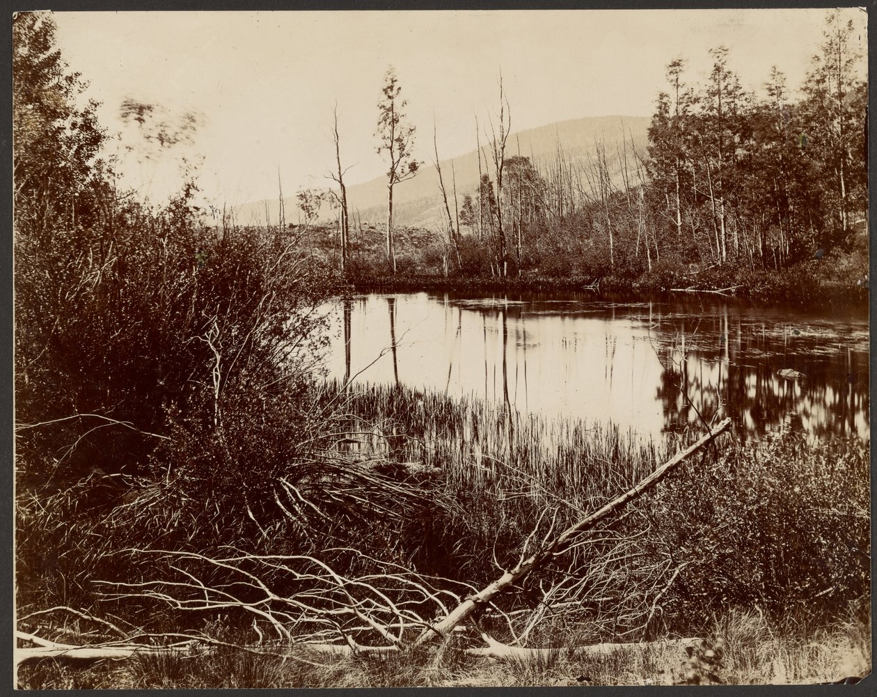 Morain Lake, Aquarius PLateau av John K. Hillers