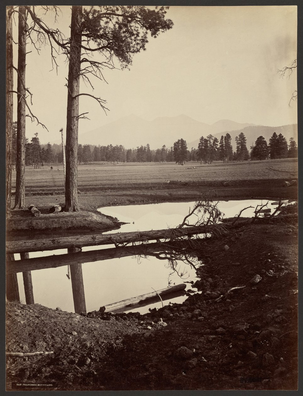 San Francisco-bergen, Arizona av John K. Hillers