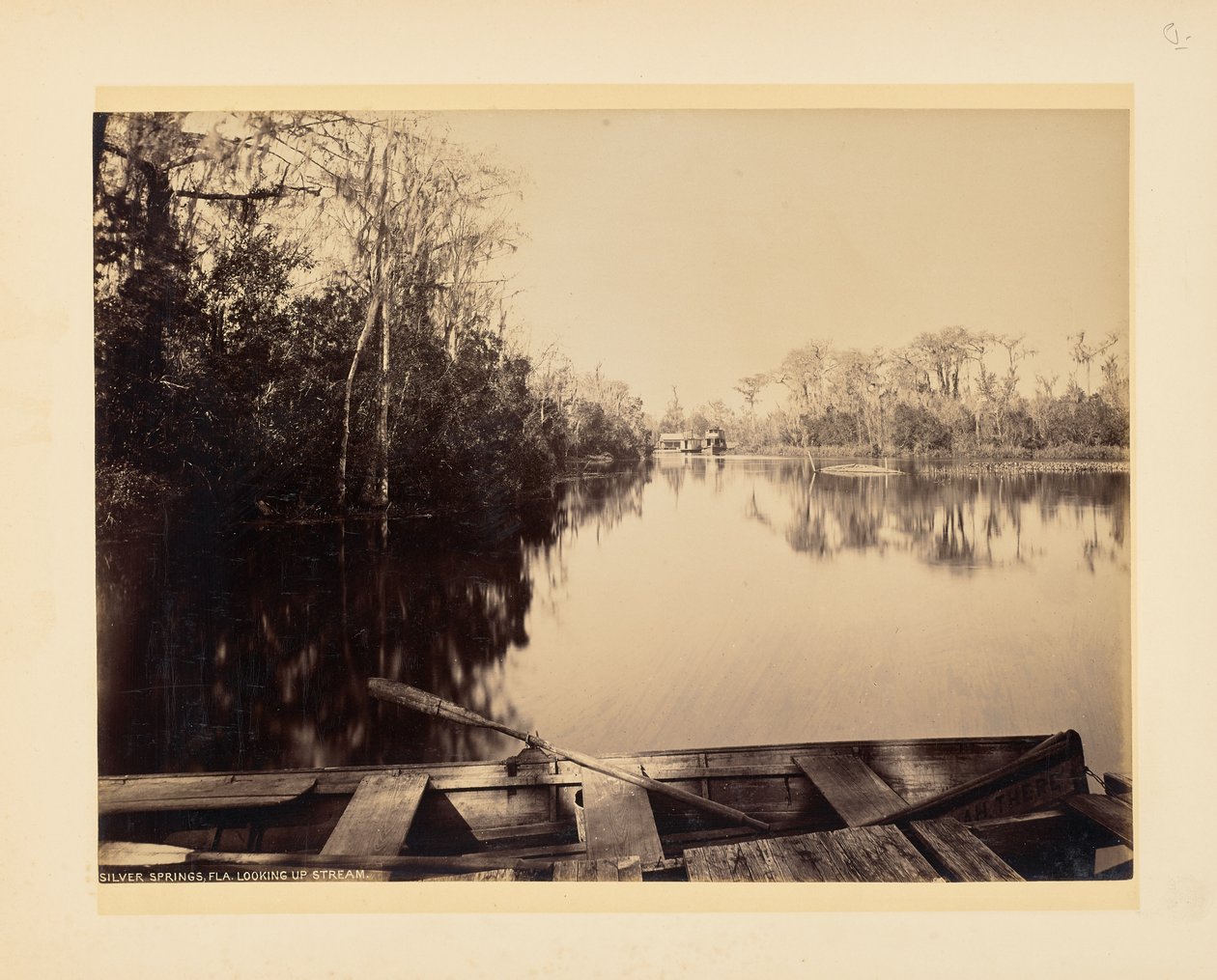 Silver Springs, Florida, vy uppströms av John K. Hillers