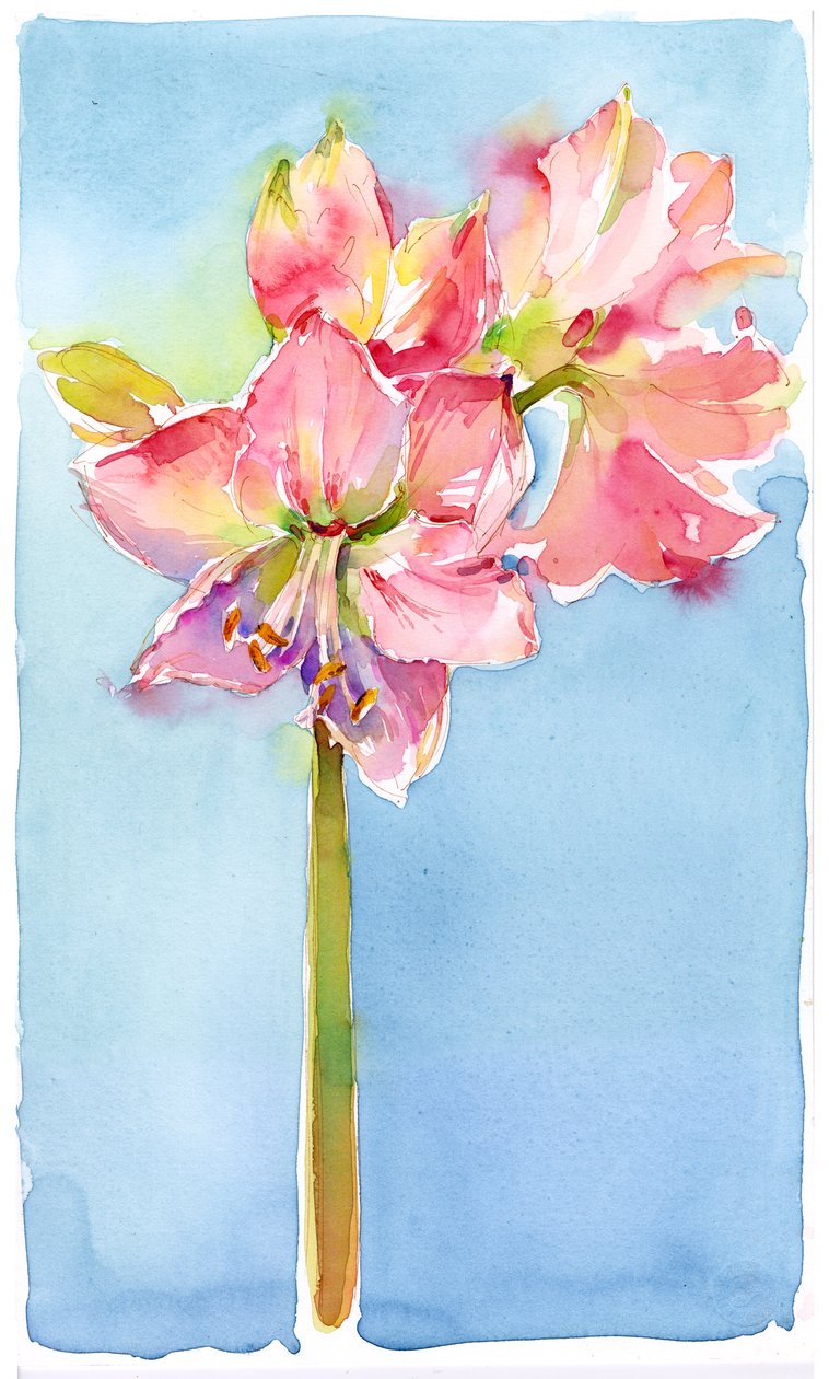 Amaryllis med aqua bakgrund, 2015, (akvarell) av John Keeling