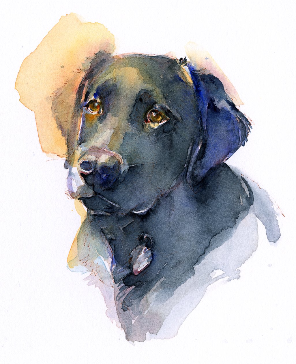 Black Lab, 2017, (akvarell) av John Keeling