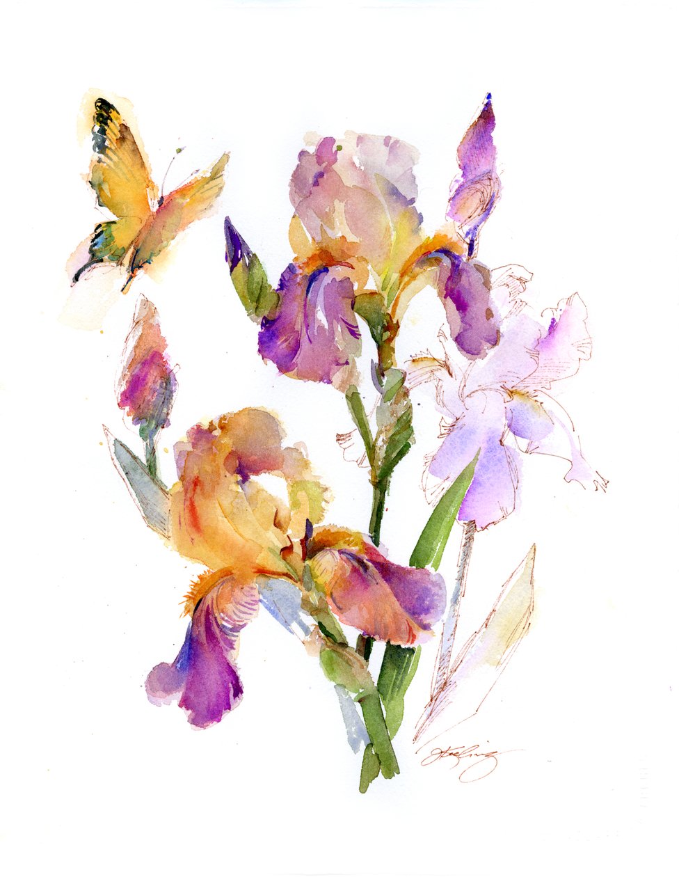 Iris med gul fjäril, 2016, (akvarell) av John Keeling