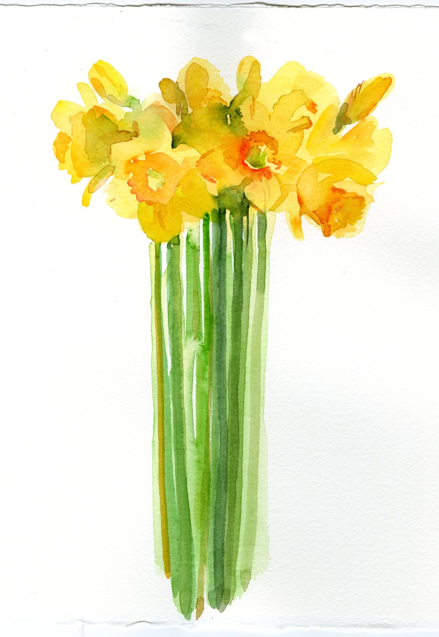 Narcissus gäng; 2014; (vattenfärg) av John Keeling