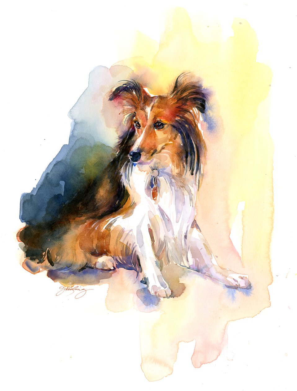 Sheltie-porträtt, 2015, (akvarell) av John Keeling